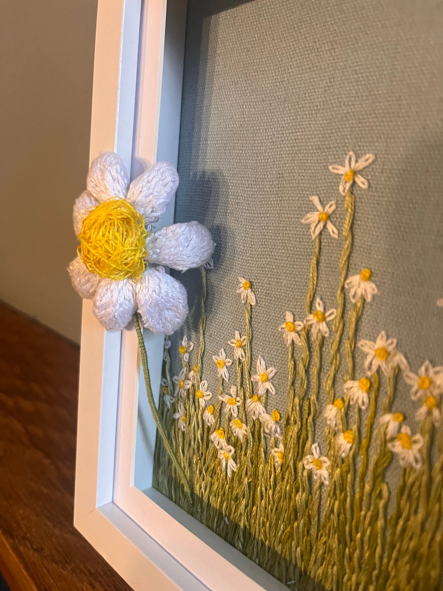 Field of daisies Frame