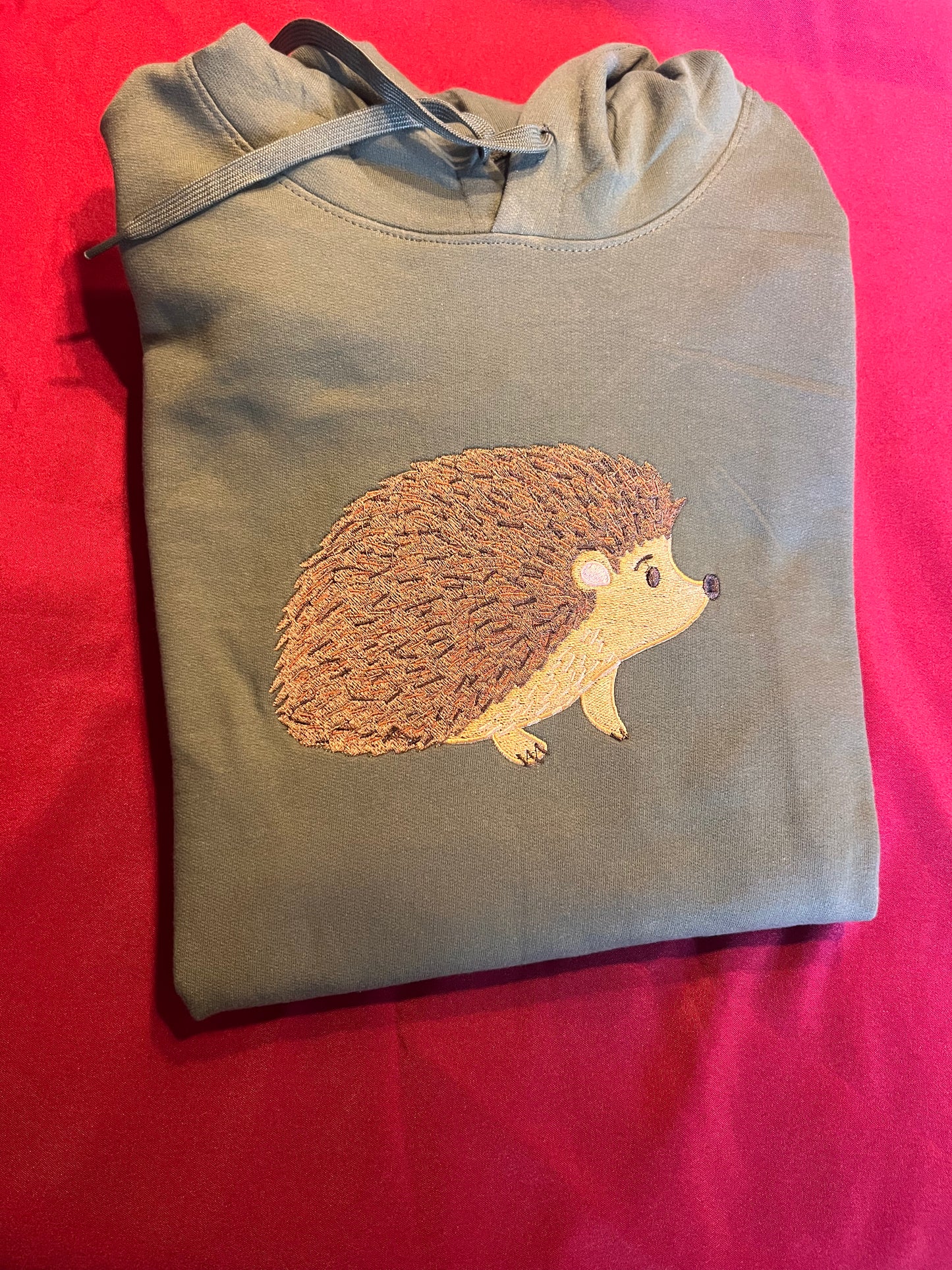 The Hedgehog Hoodie